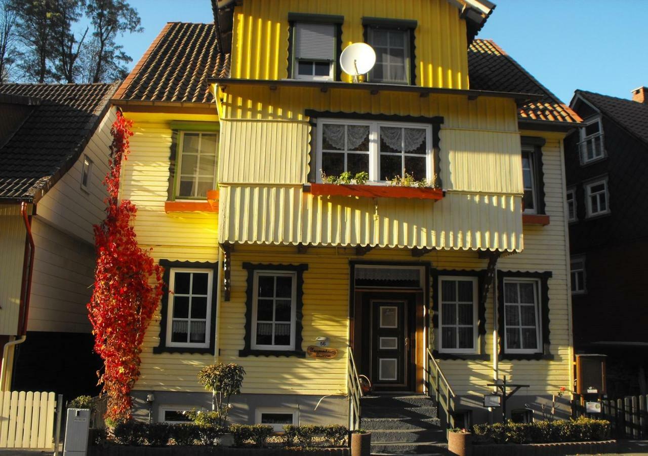 Brummers Ferienwohnung Wildemann Bagian luar foto